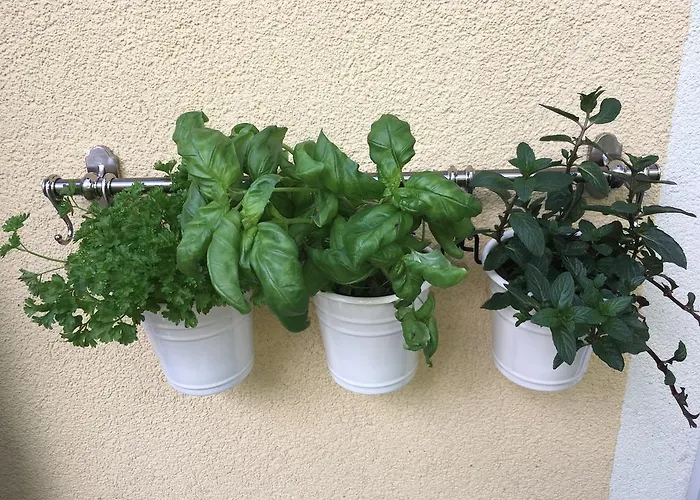 Sailer Bruck an der Mur